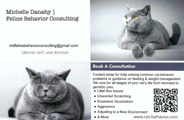 Certified in Feline Training and Behavior - All cats are good cats if you know how to speak their language. Certified in Feline Training and Behavior - All cats are good cats if you know how to speak their language.