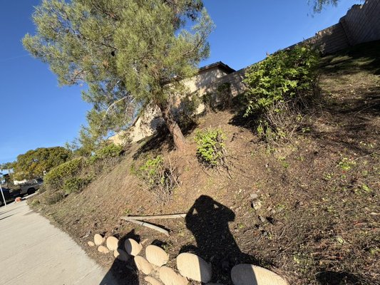 Lawn Cleanups/Maintence - 🌿 Reliable Lawn Maintenance & Cleanups in Lake Elsinore, CA 🌿
A clean, well-maintained yard makes all the difference. We provide professional lawn maintenance and property cleanups to keep your outdoor space looking neat, healthy, and curb-appeal ready year-round.
From routine mowing and edging to full yard cleanups, weed removal, and overgrown lot clearing, we handle the hard work so you don’t have to.
✔ Lawn mowing & edging
✔ Yard cleanups & debris removal
✔ Weed control & trimming
✔ One-time or recurring service options
Proudly serving homeowners throughout Lake Elsinore and surrounding areas, we’re known for dependable service, fair pricing, and attention to detail.
📍 Lake Elsinore, CA
📩 Contact us today for a free estimate and let’s get your yard back in shape Lawn Cleanups/Maintence - 🌿 Reliable Lawn Maintenance & Cleanups in Lake Elsinore, CA 🌿
A clean, well-maintained yard makes all the difference. We provide professional lawn maintenance and property cleanups to keep your outdoor space looking neat, healthy, and curb-appeal ready year-round.
From routine mowing and edging to full yard cleanups, weed removal, and overgrown lot clearing, we handle the hard work so you don’t have to.
✔ Lawn mowing & edging
✔ Yard cleanups & debris removal
✔ Weed control & trimming
✔ One-time or recurring service options
Proudly serving homeowners throughout Lake Elsinore and surrounding areas, we’re known for dependable service, fair pricing, and attention to detail.
📍 Lake Elsinore, CA
📩 Contact us today for a free estimate and let’s get your yard back in shape
