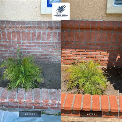 Bricks & Pavers Restoration - We specialize in restoring surfaces by removing calcium, algae, mold, moss, and other tough stains. After cleaning, we re-sand the joints and apply a professional-grade sealer—available in high gloss, medium, or low gloss finishes. This not only enhances the beauty of your pavers but also provides lasting protection against the elements Bricks & Pavers Restoration - We specialize in restoring surfaces by removing calcium, algae, mold, moss, and other tough stains. After cleaning, we re-sand the joints and apply a professional-grade sealer—available in high gloss, medium, or low gloss finishes. This not only enhances the beauty of your pavers but also provides lasting protection against the elements