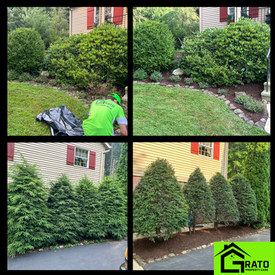 Landscaping Services - One of the primary functions of a landscaping service is to boost the aesthetics of your garden and the area surrounding your home. For some, this means pruning bushes and trees and re-edging gardens to create a crisp, clean look.
Call now for a free estimate: 17243095119 Landscaping Services - One of the primary functions of a landscaping service is to boost the aesthetics of your garden and the area surrounding your home. For some, this means pruning bushes and trees and re-edging gardens to create a crisp, clean look.
Call now for a free estimate: 17243095119