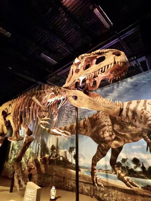 Ultimate Dinosaurs are here! - Now through September 8, 2024!