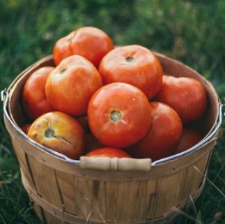 In-season fruits & veggies - At Riley’s, we grow what we love — and we love fresh, in-season produce. From juicy peaches and crisp apples to sweet corn, tomatoes, squash, and more, our farm stand is stocked with the best of what’s growing right now.
We harvest daily to ensure freshness, and everything is grown right here in Genola. Whether you're meal prepping, canning, or just craving something fresh and local, our fruits and veggies are picked at peak ripeness and full of flavor.
Come see what’s in season — and taste the difference that local makes. In-season fruits & veggies - At Riley’s, we grow what we love — and we love fresh, in-season produce. From juicy peaches and crisp apples to sweet corn, tomatoes, squash, and more, our farm stand is stocked with the best of what’s growing right now.
We harvest daily to ensure freshness, and everything is grown right here in Genola. Whether you're meal prepping, canning, or just craving something fresh and local, our fruits and veggies are picked at peak ripeness and full of flavor.
Come see what’s in season — and taste the difference that local makes.