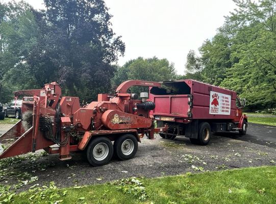 Tree Removal and Stump Grinding - We specialize in providing professional tree care solutions designed to meet all your needs. Whether you're dealing with a fallen tree or looking to clear out old stumps, our team of skilled technicians are here to help. Tree Removal and Stump Grinding - We specialize in providing professional tree care solutions designed to meet all your needs. Whether you're dealing with a fallen tree or looking to clear out old stumps, our team of skilled technicians are here to help.
