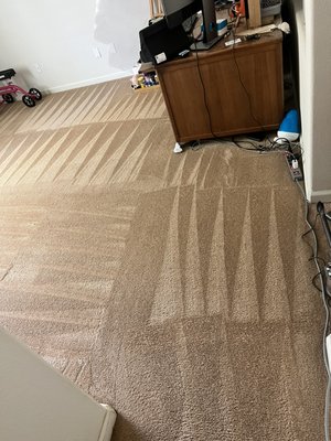 Neighbors house clean - Neighbor called for a pet treatment on few rooms and stairs and was not disappointed. Thank you Neighbors house clean - Neighbor called for a pet treatment on few rooms and stairs and was not disappointed. Thank you
