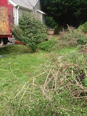 Yard Clean-Ups - Transform your outdoor space with our professional yard clean-up services. We remove leaves, branches, debris, and more—leaving your yard neat and tidy. Yard Clean-Ups - Transform your outdoor space with our professional yard clean-up services. We remove leaves, branches, debris, and more—leaving your yard neat and tidy.