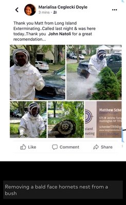 PEST CONTROL - What sets us apart from hiring just any Pest Control Company is that we use ORGANIC , CHILD And PET FRIENDLY chemicals. So no need to evacuate your home it is safe to stay home while we safely remove your unwelcome pests and wildlife. We are consistently ensuring that we are up to date with today's trends and technologies. We strive on customer service , our Huntington ,Five Boroughs and Long Island Exterminators are continuously working hard to satisfy customer needs and requests. This has given Long Island Exterminating company a reputation as the most trusted and reliable company serving Huntington, Long Island And the 5 Boroughs and NYC . IN ADDITION WE PROVIDE DISCOUNTS TO ALL VETERANS ,POLICE OFFICERS , FIREFIGHTERS AND ALL FRONT LINE WORKERS FOR THEIR BRAVERY AND SUPPORT PEST CONTROL - What sets us apart from hiring just any Pest Control Company is that we use ORGANIC , CHILD And PET FRIENDLY chemicals. So no need to evacuate your home it is safe to stay home while we safely remove your unwelcome pests and wildlife. We are consistently ensuring that we are up to date with today's trends and technologies. We strive on customer service , our Huntington ,Five Boroughs and Long Island Exterminators are continuously working hard to satisfy customer needs and requests. This has given Long Island Exterminating company a reputation as the most trusted and reliable company serving Huntington, Long Island And the 5 Boroughs and NYC . IN ADDITION WE PROVIDE DISCOUNTS TO ALL VETERANS ,POLICE OFFICERS , FIREFIGHTERS AND ALL FRONT LINE WORKERS FOR THEIR BRAVERY AND SUPPORT