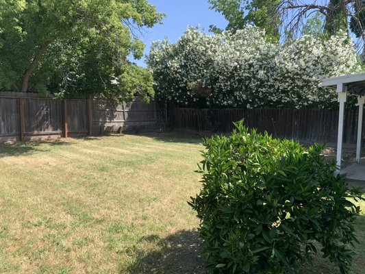 Lawn Care - Check out what we did for these homeowners! Lawn Care - Check out what we did for these homeowners!