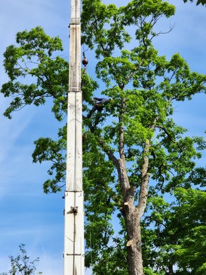 big crane job apple valley - this crane job was done in Apple Valley ohio and the property really cleaned up nice  afterwards adding some much needed sunshine to the place