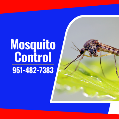 Mosquito Control - Noticing mosquitoes in your yard? Call us today: 951-482-7383 Mosquito Control - Noticing mosquitoes in your yard? Call us today: 951-482-7383