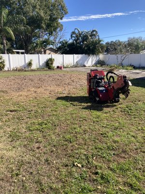 Stump grinding - Call Campbells noble landscaping for more information on your stump grinding need these are photos of a  45 year old oak tree that we stump grind and grading of the area