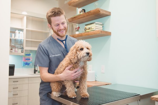 Amazing care team, convenient hours, easy scheduling. Let us take care of your pet today! - Get great veterinary care today. Open 10am-10pm, every day. Book online, by phone or text. We offer preventive, urgent and emergency care for pets. Appointments available now.
