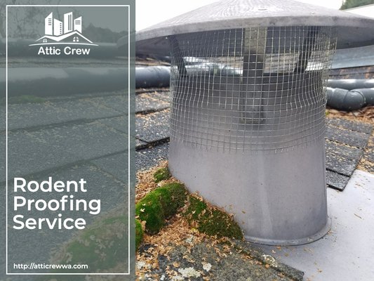 Rodent Proofing Service - From the attic to the roof and everywhere in between, we can rodent-proof your space to keep unwanted critters out!