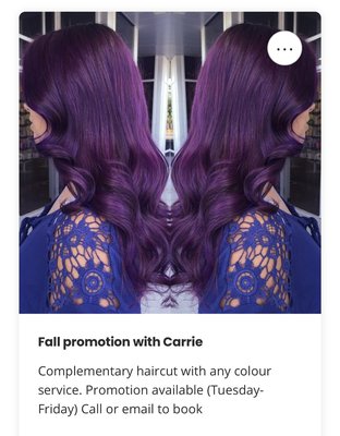 Fall Promotion with Carrie - Complimentary haircut with any colour service
Available to book Tuesday to Friday. Fall Promotion with Carrie - Complimentary haircut with any colour service
Available to book Tuesday to Friday.