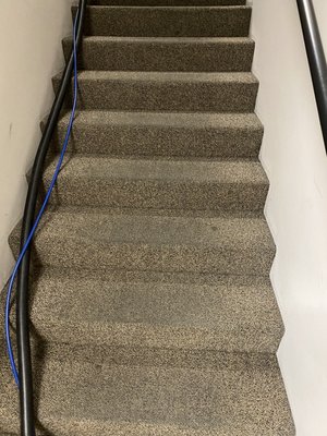 Carpet cleaning & Tile Cleaning - Traffic stains on carpet need extra attention and not just a wash and extract method. We use a 4 step process to ensure the best cleaning results. First step is to wash & extract in order to get any loose dirt up. Second, we pretreat with special traffic stain formula and let it sit for 30 minutes. Third, we use a scrub tool to loosen the stains. Finally we rinse and extract the area and final results are incredible. Carpet cleaning & Tile Cleaning - Traffic stains on carpet need extra attention and not just a wash and extract method. We use a 4 step process to ensure the best cleaning results. First step is to wash & extract in order to get any loose dirt up. Second, we pretreat with special traffic stain formula and let it sit for 30 minutes. Third, we use a scrub tool to loosen the stains. Finally we rinse and extract the area and final results are incredible.