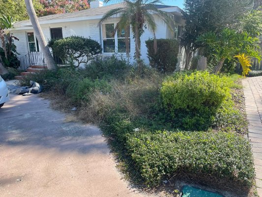 Before & After - Front yard transformation