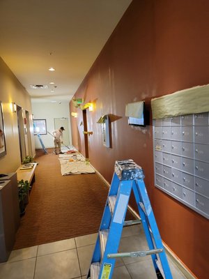 Apartment Painting 2020 - This remodel was done on an old apartment complex. We repainted the kitchen’s, bedrooms, hallways and exterior. Apartment Painting 2020 - This remodel was done on an old apartment complex. We repainted the kitchen’s, bedrooms, hallways and exterior.