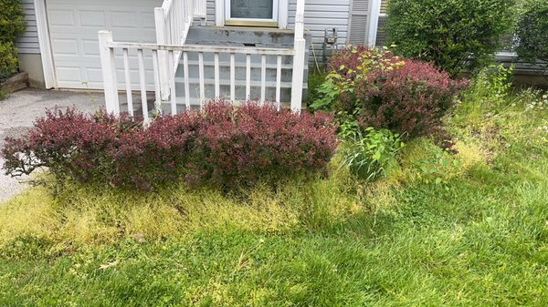 Landscaping - This was a yard in bad shape the front stuck out big time