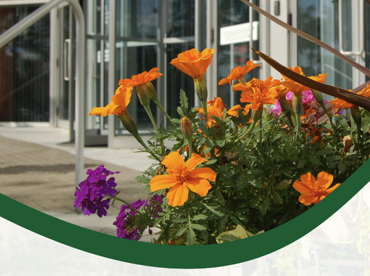 Commercial Services - COMMERCIAL GROUNDS MAINTENANCE
Floyd's Lawn & Landscape is your trusted partner for commercial landscape and grounds maintenance services. We offer customized landscaping and maintenance services for all commercial properties. 
Serving various retail, HOA, and commercial clients throughout Perry Hall and the surrounding communities, our grounds maintenance services ensure your property is meticulously cared for and always looks its best. Our comprehensive commercial grounds maintenance service includes maintaining and enhancing outdoor spaces with landscaping, mowing, seasonal plantings, and hardscapes.