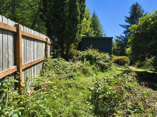 Yard cleaning - Cleared up this yard and made everything visible Yard cleaning - Cleared up this yard and made everything visible