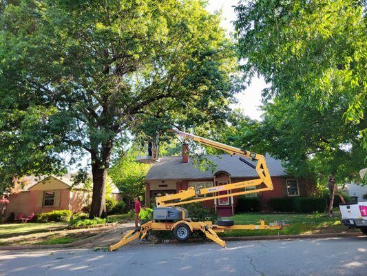 Rebel Tree's Summer - Here's some of our work from this past summer!