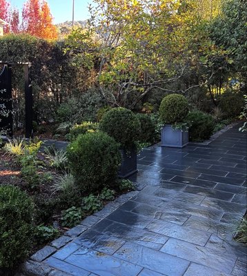 Front and Backyard Renovation - This front and backyard got a complete renovation. From an older overgrown landscape, to a classic English garden. Front and Backyard Renovation - This front and backyard got a complete renovation. From an older overgrown landscape, to a classic English garden.