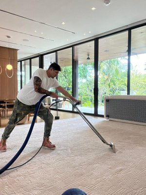 CARPET/ RUG CLEANING - THIS SERVICE WAS DONE IN MIAMI BEACH, AMAZING HOUSE BUT SOME RUGS ANS CUSHION WERE VERY DIRTY AND STAINED.