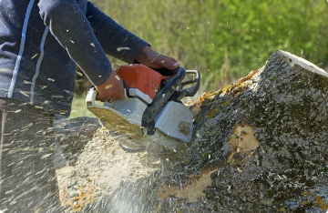 🌳 Tree Services - Need Tree Services in Houston? 🌳
We’ve got you covered! 🌟

🌲 Tree Removal
✂️ Tree Trimming & Pruning
🪓 Stump Removal & Grinding
🌱 Tree Fertilization & Care Maintenance
⚠️ Emergency Tree Services
Whether it’s 🌿Tree Limb Removal or complete 🌳 Tree Care, our expert team is here to help your trees thrive! 🌳🌟