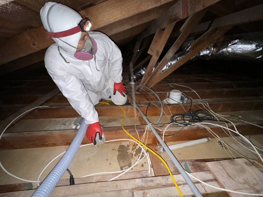 Attic Cleaning - Attic cleaning: we clean, sanitize, and rodent-proof the attic and the entire house. We offer 5 5-year warranty.