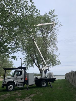 Property and house clearing - This customer wanted the trees that were over hanging his property and house to be trimmed back. We brought the trees back away from the house and property in just 2 hours! Including all clean up Property and house clearing - This customer wanted the trees that were over hanging his property and house to be trimmed back. We brought the trees back away from the house and property in just 2 hours! Including all clean up