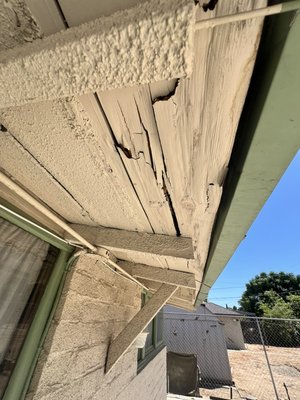 Removing and replacing dry rot/ fungus wood member(s) - Removing and replacing dry rot/ fungus infected roof sheathing.