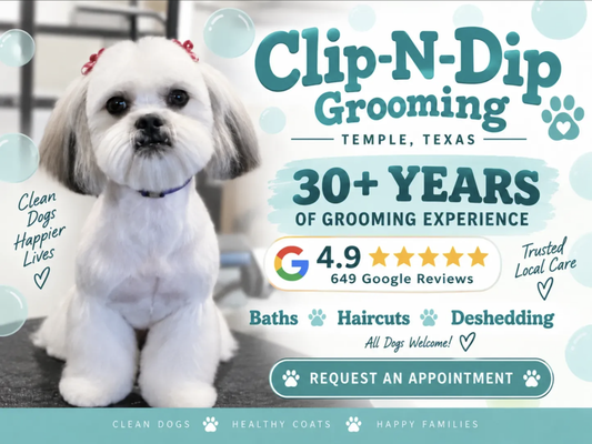 Book Your Appointment Today - We treat every pup like family! Based in Temple, Texas, we offer gentle, stress-free grooming for dogs of all breeds and sizes. From tidy trims to full spa treatments, our team is passionate about keeping your furry best friend happy, healthy, and looking their absolute best. We love serving our local community and can’t wait to welcome your dog for some pampering! Note: We do NOT offer mobile grooming services. Find us on Instagram, Facebook, and Google. Book Your Appointment Today - We treat every pup like family! Based in Temple, Texas, we offer gentle, stress-free grooming for dogs of all breeds and sizes. From tidy trims to full spa treatments, our team is passionate about keeping your furry best friend happy, healthy, and looking their absolute best. We love serving our local community and can’t wait to welcome your dog for some pampering! Note: We do NOT offer mobile grooming services. Find us on Instagram, Facebook, and Google.