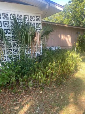 Grass cut - This is some of the job I've done.