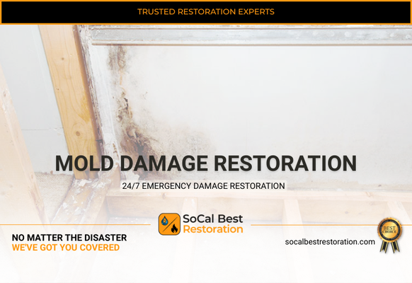 Mold Damage Remediation in Orange County, CA – SoCal Best Restoration - At SoCal Best Restoration, we specialize in fast, reliable, and thorough mold damage remediation across Southern California. Whether you're dealing with visible mold growth or hidden moisture damage, our certified technicians use industry-leading techniques to restore your space safely and effectively.

This portfolio showcases real jobs we've completed — from small residential treatments to large-scale commercial mold remediation. Every project reflects our commitment to health, safety, and exceptional craftsmanship.

What to Expect:
✔️ Free On-Site Mold Inspection
✔️ Moisture Source Detection
✔️ HEPA Filtration & Safe Containment
✔️ Thorough Mold Removal & Disinfection
✔️ Full Post-Remediation Restoration

We’re proud to be the trusted name in mold remediation for SoCal homeowners, landlords, and business owners alike.