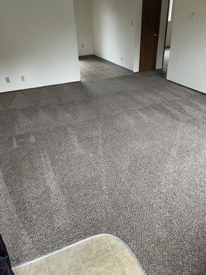 Offer hot water extraction “steam” cleaning service a variety of upholstery flooring and odor and pet and stain removal ✅ - This was a apartment carpet I had cleaned in Arcata. Offer hot water extraction “steam” cleaning service a variety of upholstery flooring and odor and pet and stain removal ✅ - This was a apartment carpet I had cleaned in Arcata.