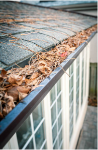 Gutter Cleaning - Looking for top-rated gutter cleaning in Douglasville, GA?
Our local experts provide thorough, affordable gutter cleaning to protect your home from water damage and clogged gutters. Serving Douglasville and surrounding areas, we ensure your gutters flow smoothly year-round. Book your trusted, professional gutter cleaning service today and keep your home safe and beautiful
Smyrna, GA
Marietta, GA
Newnan, GA
Douglasville, GA
Carrollton, GA
Villa Rica, GA
Powder Springs, GA
Lithia Springs, GA
Fairburn, GA
Mableton, GA
Dallas, GA
Hiram Gutter Cleaning - Looking for top-rated gutter cleaning in Douglasville, GA?
Our local experts provide thorough, affordable gutter cleaning to protect your home from water damage and clogged gutters. Serving Douglasville and surrounding areas, we ensure your gutters flow smoothly year-round. Book your trusted, professional gutter cleaning service today and keep your home safe and beautiful
Smyrna, GA
Marietta, GA
Newnan, GA
Douglasville, GA
Carrollton, GA
Villa Rica, GA
Powder Springs, GA
Lithia Springs, GA
Fairburn, GA
Mableton, GA
Dallas, GA
Hiram