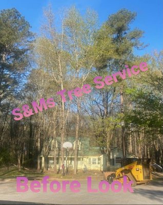 Tree Removal - Tree Removal for front yard in Gwinnett County Tree Removal - Tree Removal for front yard in Gwinnett County