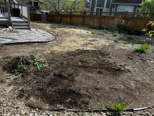 Sod job 2023 - This customer had an tight budget but they were tired of the goat-heads and mud coming in the house with their dogs. We sourced a turf that should hold up better to high pet traffic and made sure to bring in a really high nutrient top soil to ensure it has the best possible chance at recovery when it is damaged. We were so honored to be trusted with this project and we made a great friend and a new life long customer!