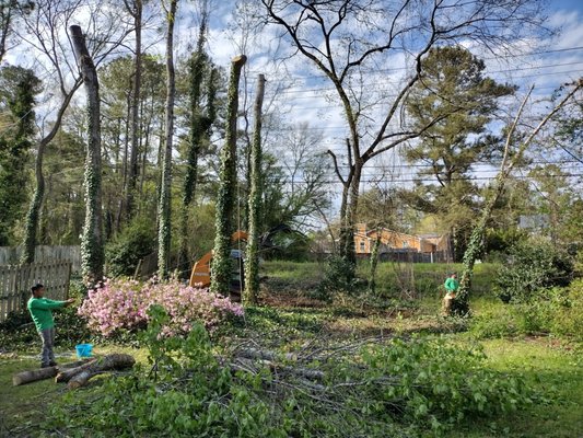 Daily Rate Marietta Georgia - Alex, in Marietta Ga, hired us to clear several trees in his backyard area and the side garden. He was very happy to see how much work got done in just one day when he elected to go with our Daily Rate and rented out the Crew/Equipment. Save Big! And ask us about our daily rates and what it could mean for you! Daily Rate Marietta Georgia - Alex, in Marietta Ga, hired us to clear several trees in his backyard area and the side garden. He was very happy to see how much work got done in just one day when he elected to go with our Daily Rate and rented out the Crew/Equipment. Save Big! And ask us about our daily rates and what it could mean for you!
