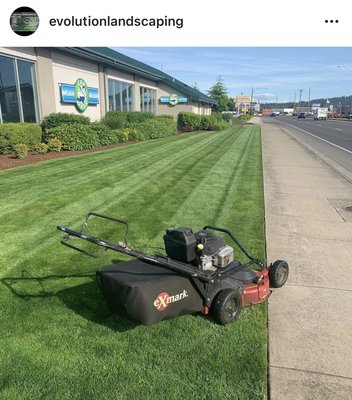 Lawn mow - Lawn service Lawn mow - Lawn service