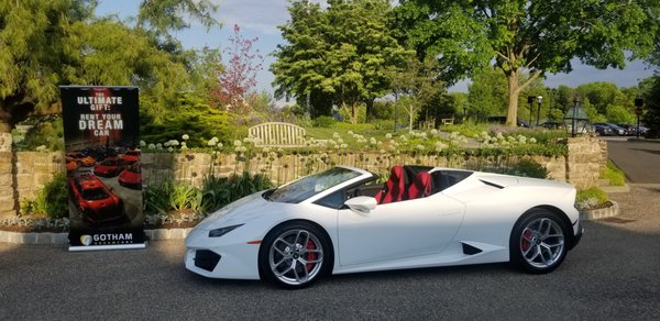 Lamborghini Rental - Rent A Lamborghini Convertible today! Lamborghini Rental - Rent A Lamborghini Convertible today!