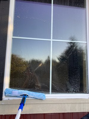 BLUE BIRD CLEANING - Battle Ground, Washington - Window Washing - Phone