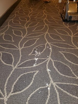Commercial Carpet Cleaning Paint Removal - Emergency commercial carpet cleaning to remove paint stains