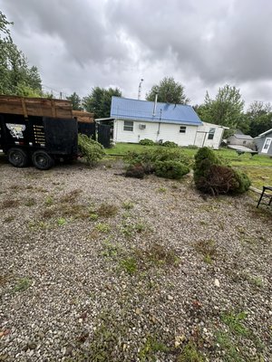 Pine bush pickup - Here Rings construction came and picked up bushes that a home owner pulled them self they just wanted it hauled away Pine bush pickup - Here Rings construction came and picked up bushes that a home owner pulled them self they just wanted it hauled away