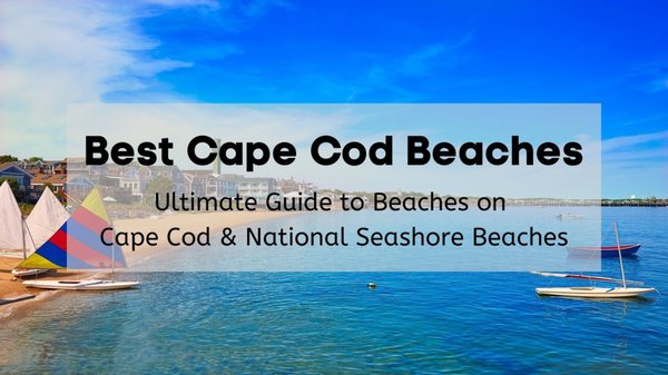 21 Best Cape Cod Beaches – [2022] Ultimate Guide to Beaches in Cape Cod - MA based Moving Co.