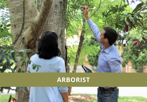 Arborist - ArborTech Inc. provides arborist consultation services throughout the Bay Area. We can assist you whether you need your tree diagnosed or have questions about your trees. Consultations can be about topics such as tree value appraisals, tree inventories, or even health and hazard assessments. Our Hayward arborist has more than 30 years of experience in the tree care industry and has helped numerous clients improve the quality of their trees. To learn more about how we can help you, give us a call. Arborist - ArborTech Inc. provides arborist consultation services throughout the Bay Area. We can assist you whether you need your tree diagnosed or have questions about your trees. Consultations can be about topics such as tree value appraisals, tree inventories, or even health and hazard assessments. Our Hayward arborist has more than 30 years of experience in the tree care industry and has helped numerous clients improve the quality of their trees. To learn more about how we can help you, give us a call.