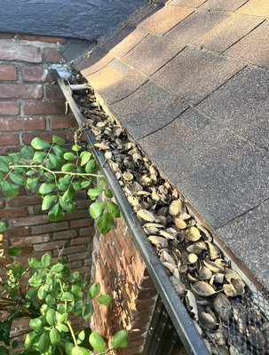 Gutter Cleaning Jobs - Here is a collection of all my gutter cleaning jobs so you can see our previous work and decided if we are the right ones for you! Gutter Cleaning Jobs - Here is a collection of all my gutter cleaning jobs so you can see our previous work and decided if we are the right ones for you!