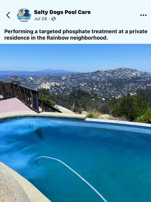 Phosphate treatment in progress - Phosphates are “food for algae” basically. We add a phosphate remover to eliminate the food source for algae. Phosphate treatment along with chemical balance and a correct sanitizing program give a pool that crystal clear look and comfort. Phosphate treatment in progress - Phosphates are “food for algae” basically. We add a phosphate remover to eliminate the food source for algae. Phosphate treatment along with chemical balance and a correct sanitizing program give a pool that crystal clear look and comfort.