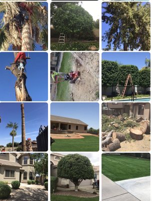 Spring landscaping 12 years experience good price - Hello spring landscaping general landscaping tree service tree removal install pavers  irrigation system installed 100%