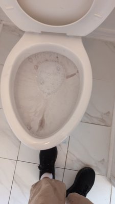 Deep cleaning - Move out cleaning 3/2