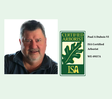 About the business - Starting the climb in 1984 as a ground-man and becoming an ISA Certified Arborist in 1991, Paul has dedicated his life to preserving and caring for mature native and landscape trees. 

Over 40 years of experience working professionally in the urban commercial tree industry in all aspects of Arboriculture. 

As an owner-operator of a tree care company for 20 years and a District Manager for a national tree company for another decade, he uses years of expertise, experience, and education to continue the journey.